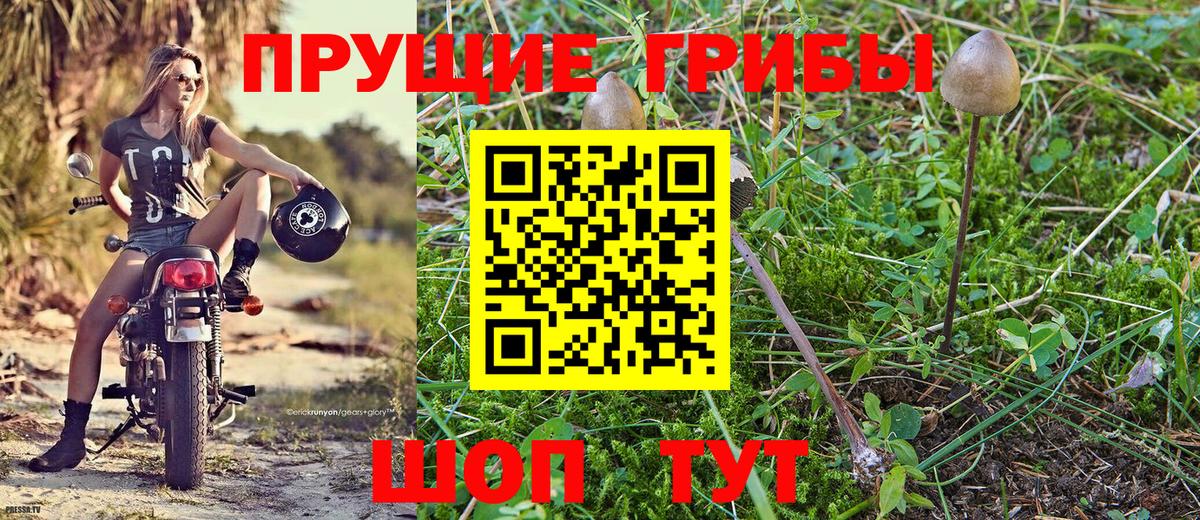 сколько стоит  Галлюциногенные грибы MAGIC MUSHROOMS  Вход с VPN  Клин 