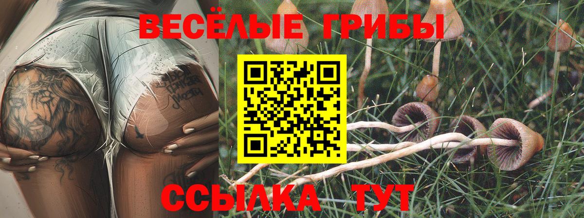 Псилоцибиновые грибы Cubensis Клин
